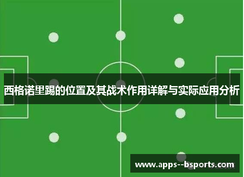 西格诺里踢的位置及其战术作用详解与实际应用分析